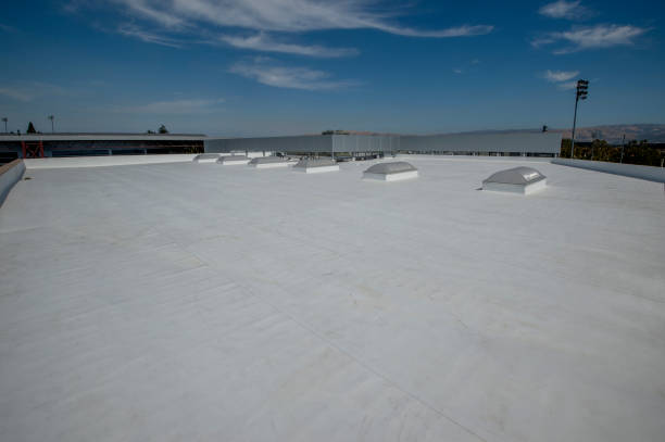 Best Roof Coating and Sealing  in Ocean Springs, MS