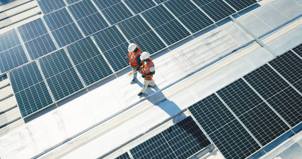 Best Skylight Installation and Repair  in Ocean Springs, MS