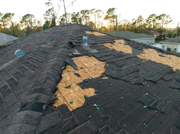 Best Metal Roofing Installation  in Ocean Springs, MS