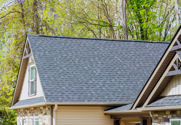 Best Gutter Installation and Repair  in Ocean Springs, MS