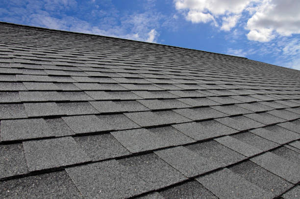 Best Roof Moss and Algae Removal  in Ocean Springs, MS